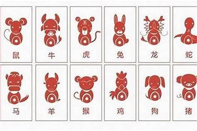 探索生肖配对：属狗的你，与谁最为契合？