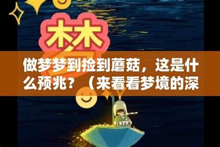 梦境中的蘑菇：探索梦见捡蘑菇的深层含义