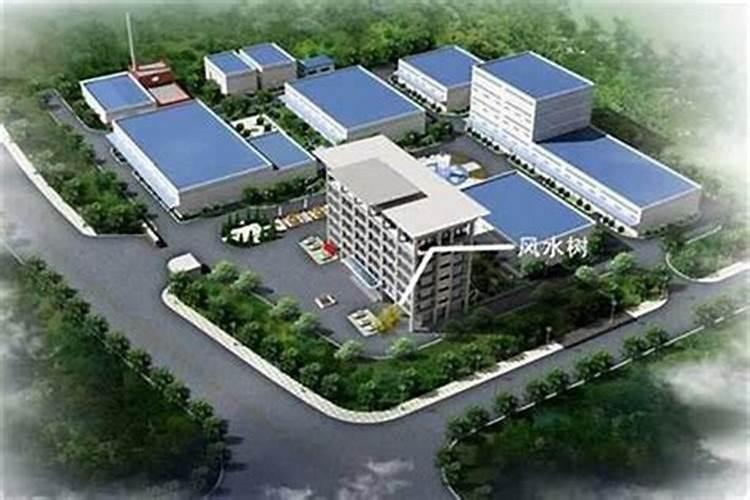 厂房风水布局指南：如何打造财富与事业的风水宝地？