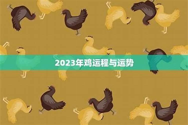 属鸡的明年运势详解：把握机遇，迎接挑战