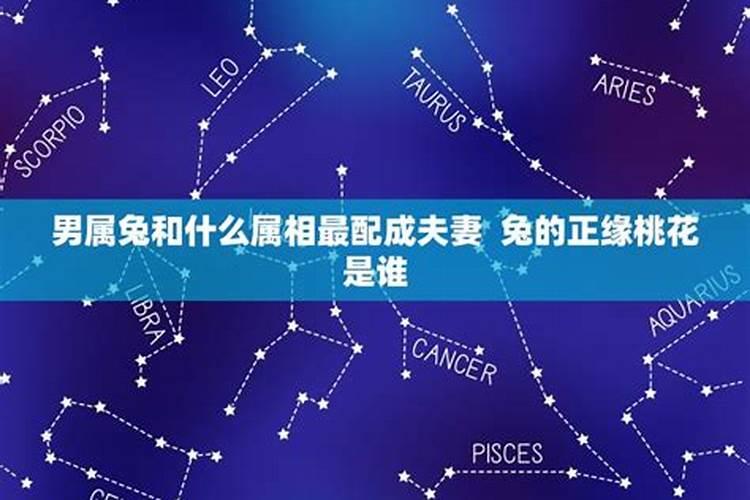哪些属相相配成夫妻？