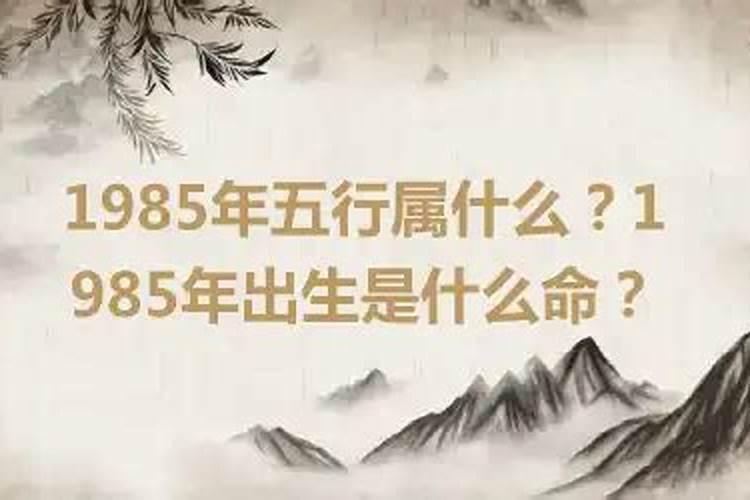1985年出生是什么命？