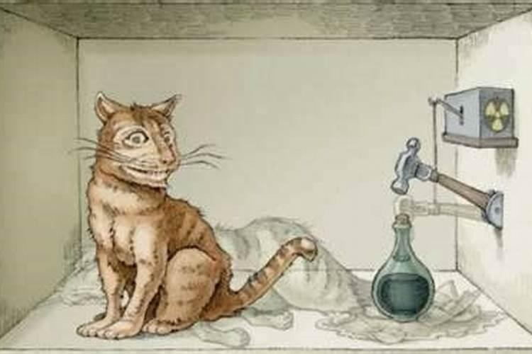 梦醒时分：猫的生死之谜