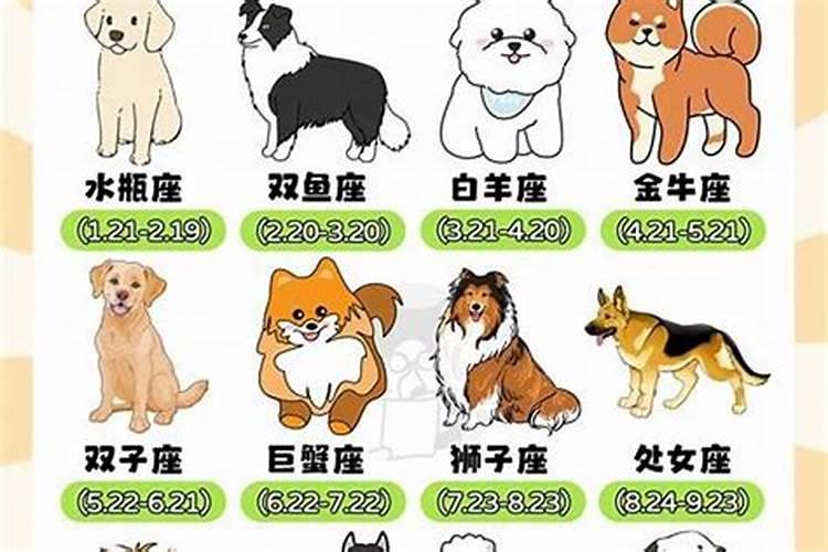 属狗的星座是什么？
