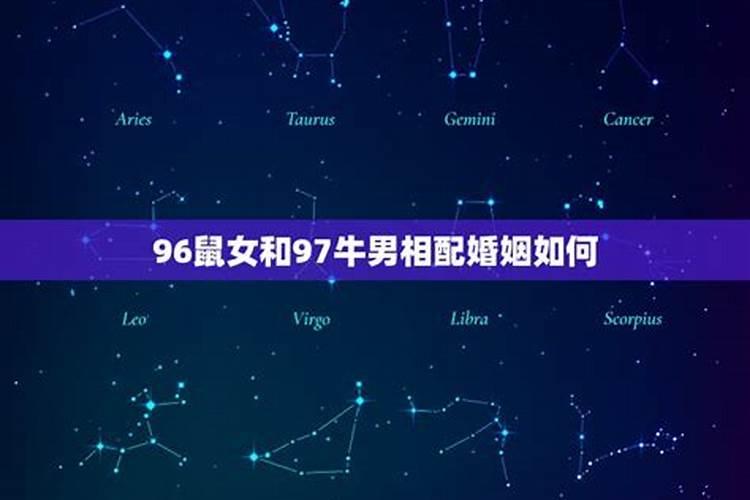 96年5月鼠女和97年3月牛男怎么样？