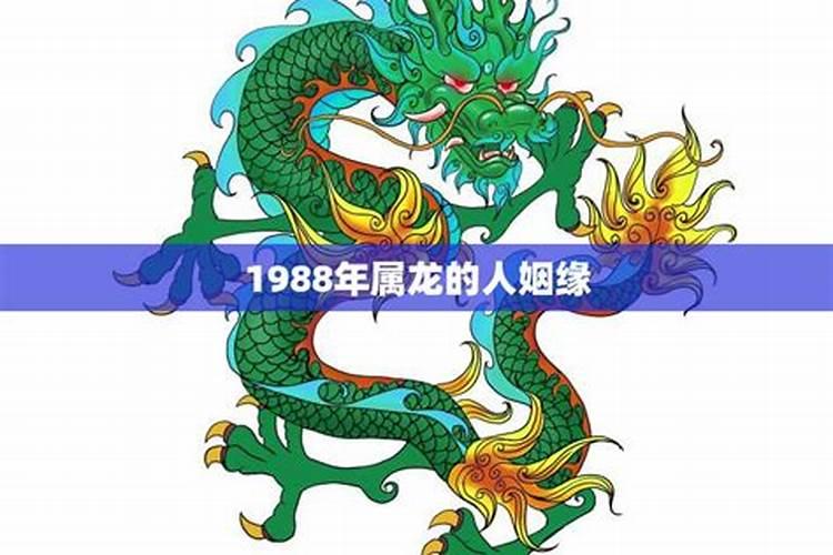 龙行天下：1988属龙人的婚缘长河