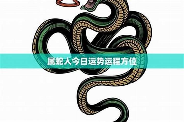 属蛇人今日运势解析：洞察天机，把握良辰