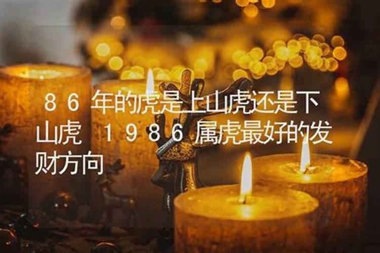 1986年下山虎的传奇