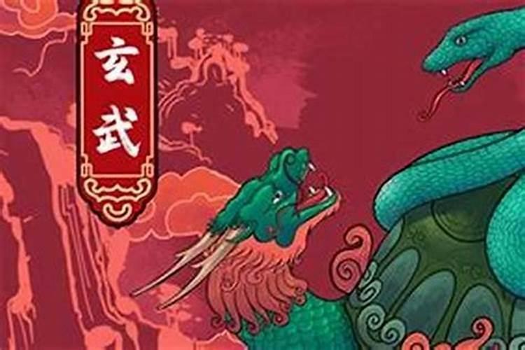 穿梭命运之河：1977年属蛇男性的婚缘探索