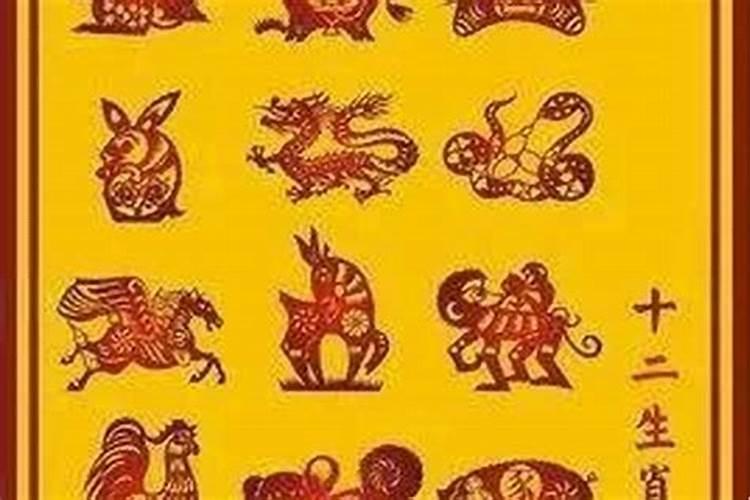 2004年生肖属什么命？