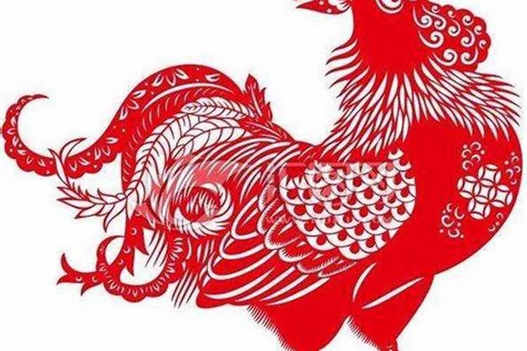 属狗与属鸡的婚配：能否携手到老？