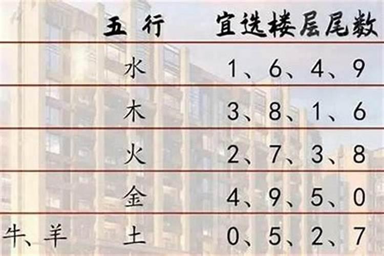 属牛人最佳楼层选择：揭秘风水与生肖的神秘联系