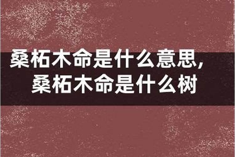 木命是什么意思