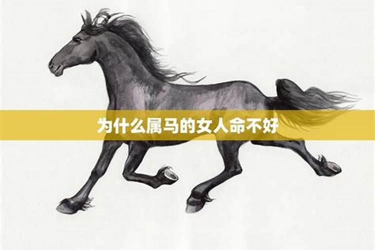 54年属马女人的命好吗解释分析