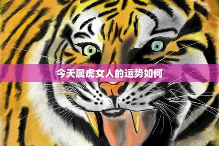 属虎女人的魅力漩涡：情人眼中的独一无二