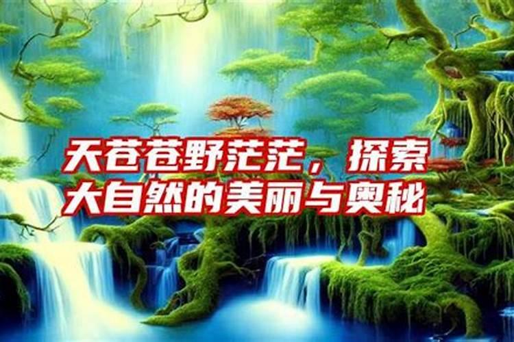 探索自然的奥秘：野肖与生肖的神秘联系