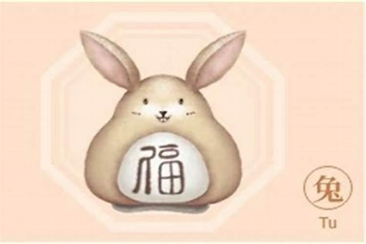 1975兔是什么命