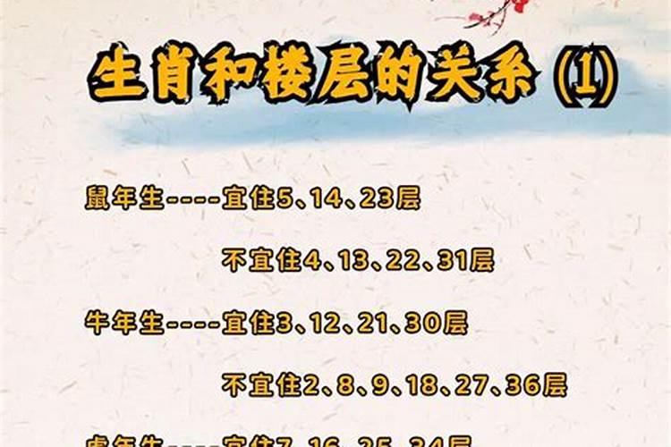 属蛇人楼层选择的风水智慧