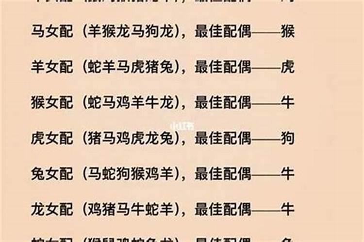生肖属鼠和什么生肖最配婚姻呢？