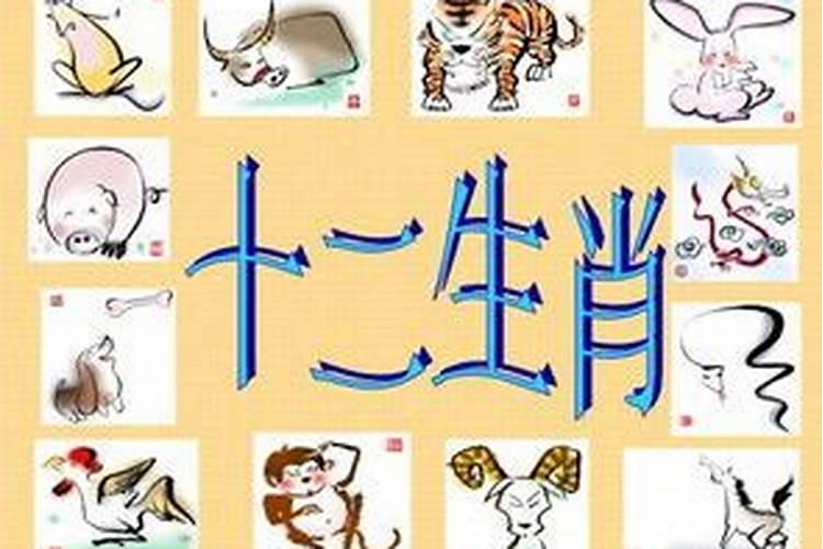 58岁属什么生肖？