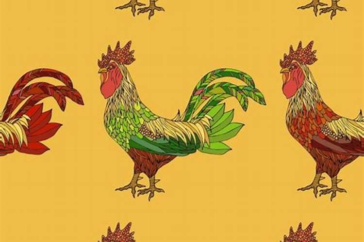女鸡配什么属相合适：揭秘十二生肖的完美匹配？