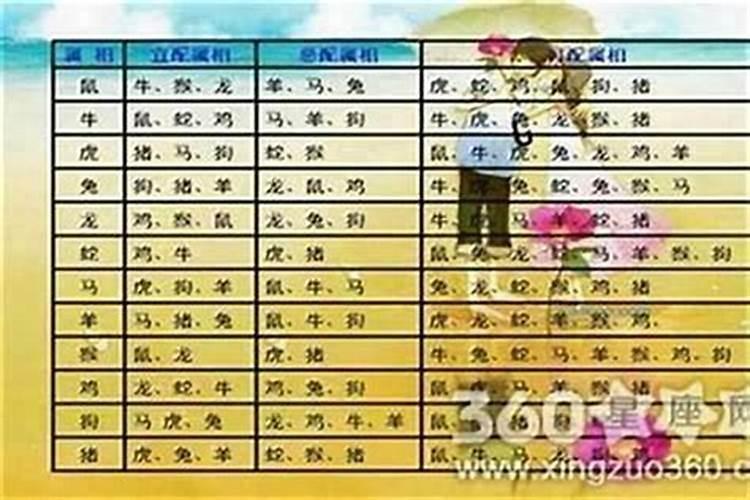 什么属相男最富贵最好命