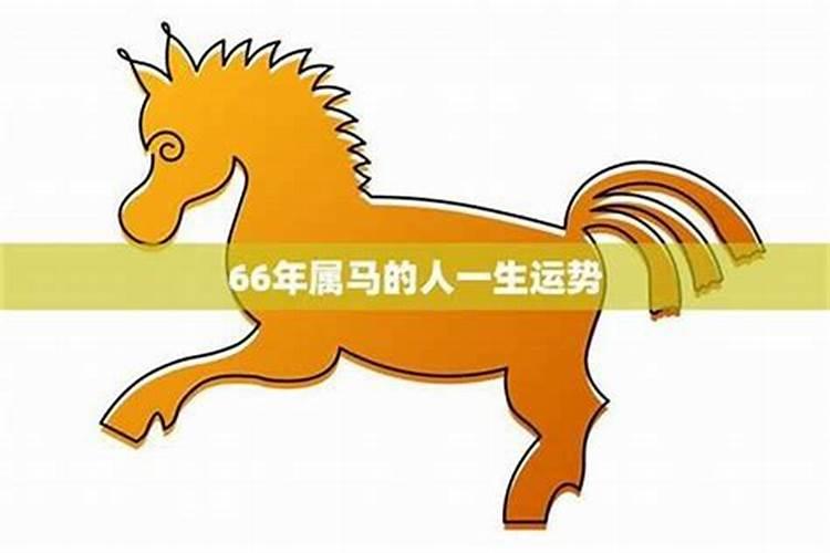 属相马男性2025年运势如何？