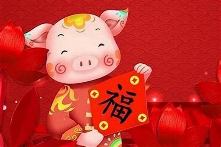 迎接金猪宝宝：探讨属猪的2025年生小孩的吉祥寓意与现实考量