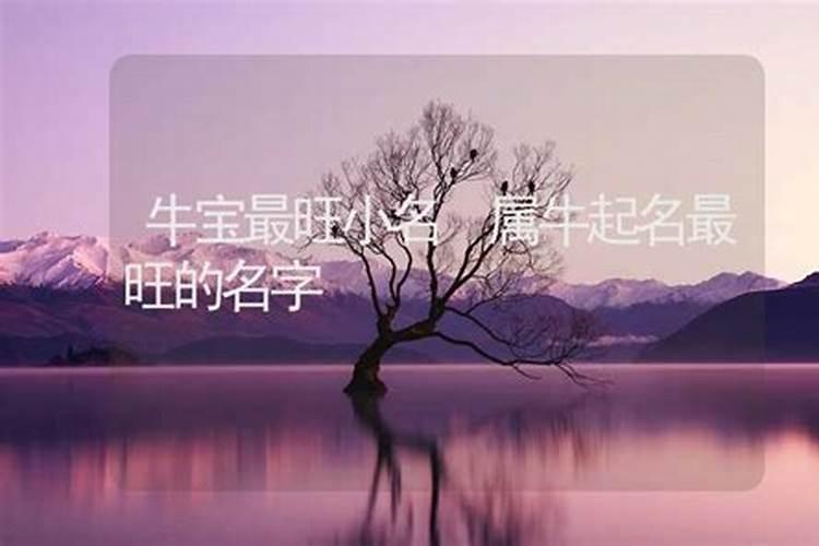 属牛起名最旺的名字