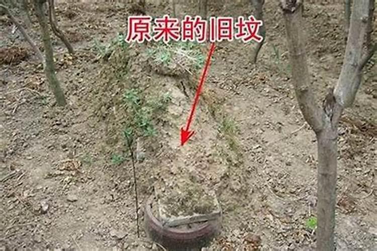 祖坟风水怎么看好坏？