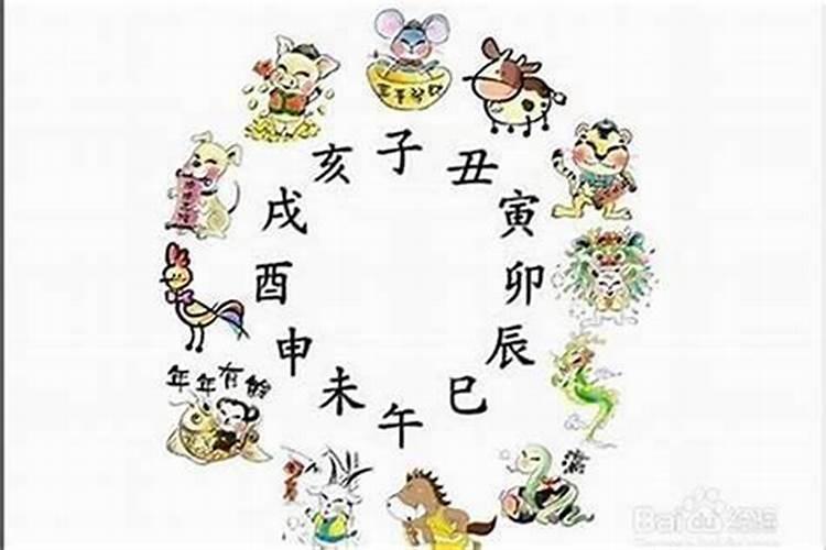 骄傲是什么生肖？