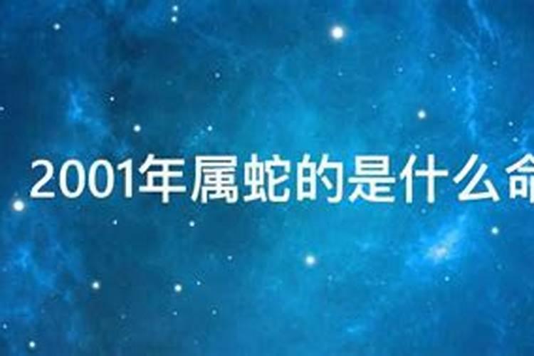 2001年是什么命？