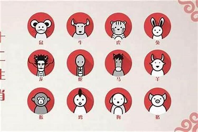 揭秘生肖相合：谁最能兴旺属猪的父母？