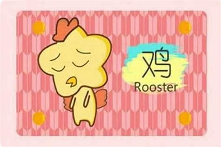 什么属相最好挣钱养家？