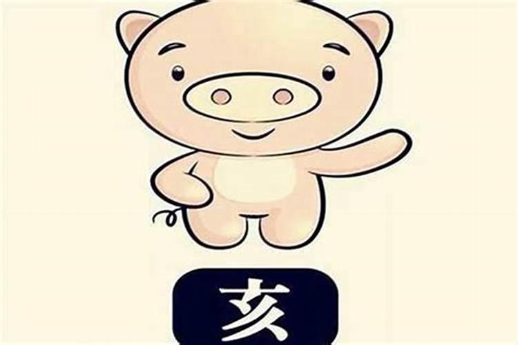 属猪的不宜用什么部首的字？