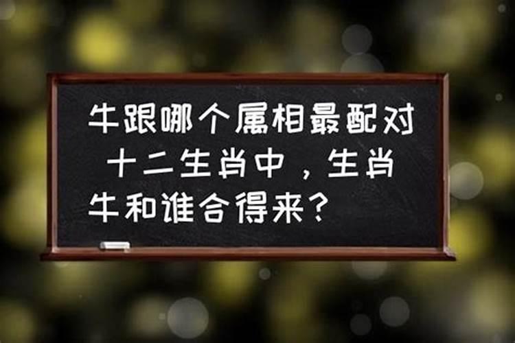 哪个属相跟哪个属相相配？