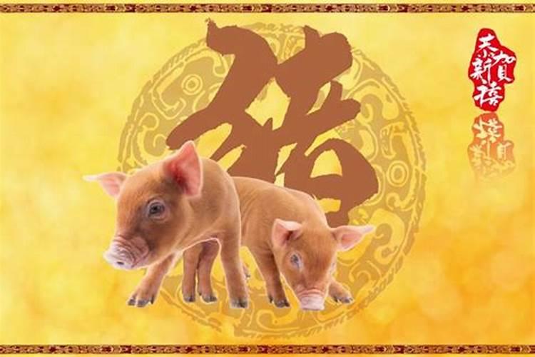属猪的人2025运势如何：迎接新的挑战与机遇？