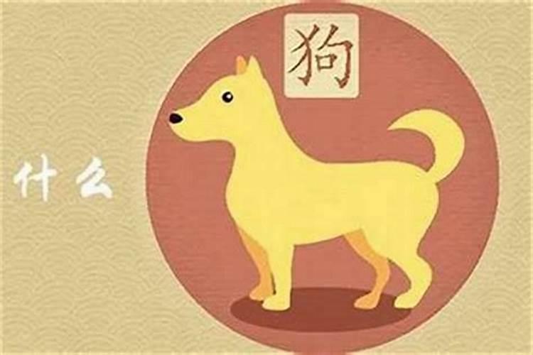 属狗生啥属相的宝宝好？