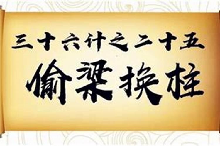 偷梁换柱什么生肖？