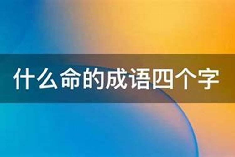 什么于什么命成语大全