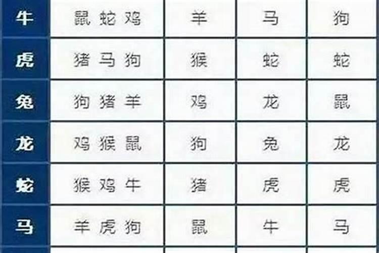 夫妻俩什么属相最合适配对？