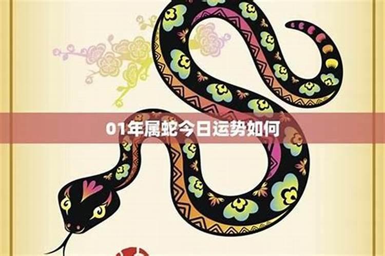 揭秘属蛇人的明日运势：洞察每日运程的奥秘