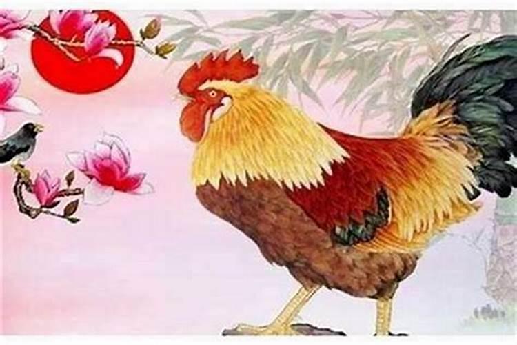 揭秘1969年属鸡人的楼层风水缘