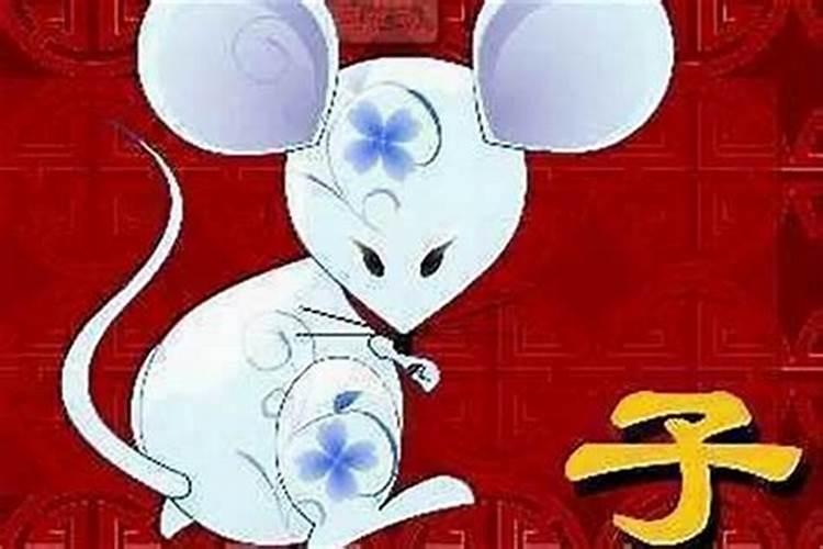揭秘生肖不合：属鼠与谁最不相配？