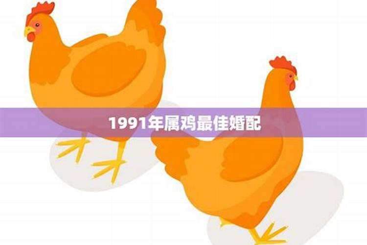 缘定星辰：属鸡婚配的天作之合与避忌之选