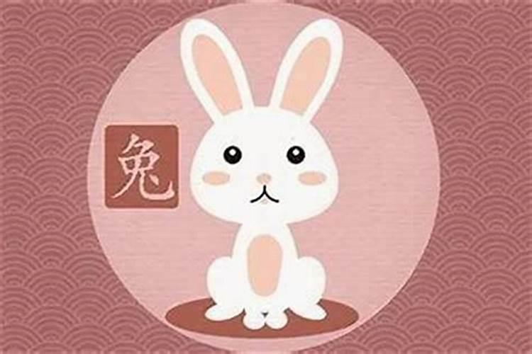 属兔和属虎的合伙做生意怎么样？