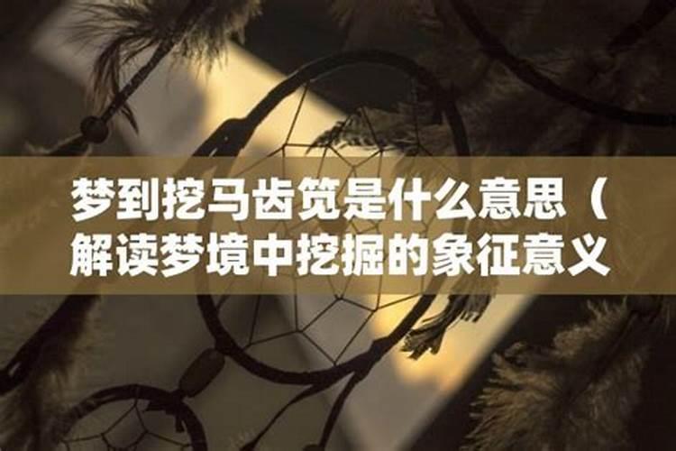 梦境中的马：探索梦见马的深层意义与预兆？