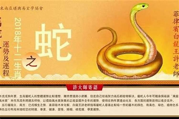 属蛇人今年运势解析：洞察机遇，迎接挑战