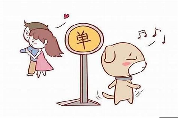 属狗的人什么样的性格？