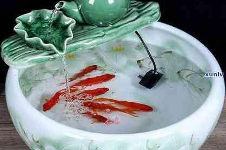 风水之道：讲究与无讲究的平衡艺术
